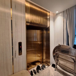 Trang Trí Mặt Thang Máy Màu Vàng Hồng – Mẫu TMTHP-001